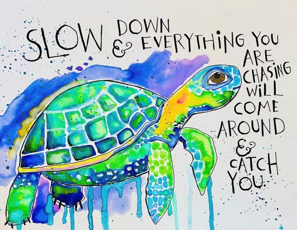 SLOW DOWN TURTLE