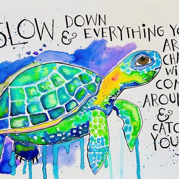 SLOW DOWN TURTLE