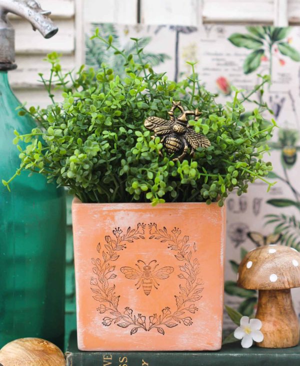 (05/16/25) MAY WOMEN'S CIRCLE • CLAY POTS & WINDOWSILL SUCCULENTS - Image 3